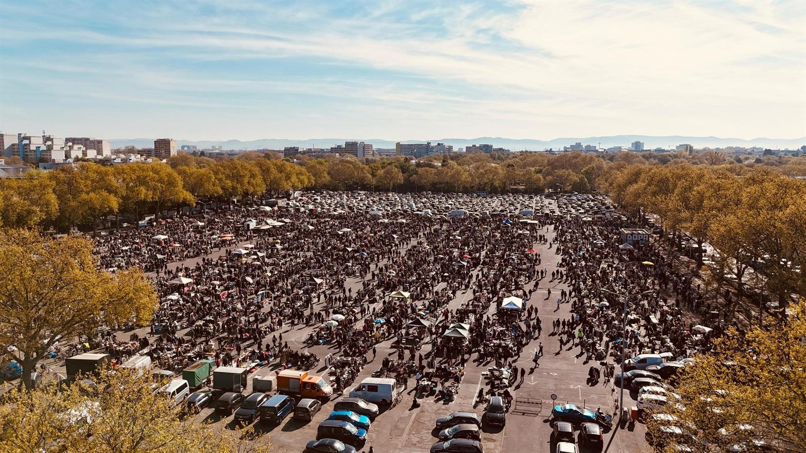 Vielfältiges Angebot auf dem Krempelmarkt am 12.04.2025